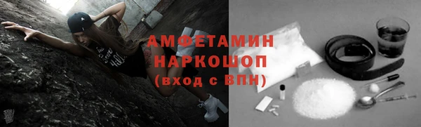 гашик Алексеевка