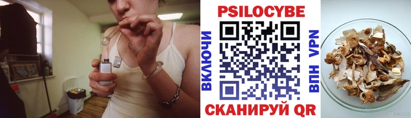 Псилоцибиновые грибы прущие грибы  Амурск 